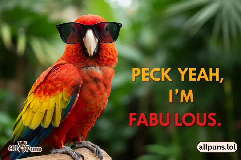 A sassy parrot with sunglasses and the caption: “Stay fly.” or “Peck yeah, I’m fabulous.” 
