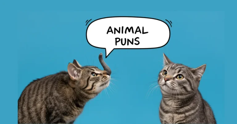 Animal Puns