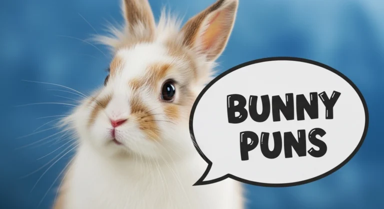 bunny and rabbit puns
