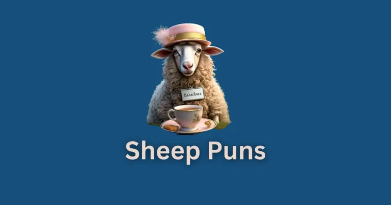 Sheep puns