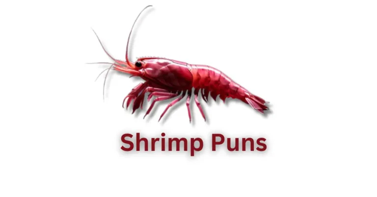 shrimp puns