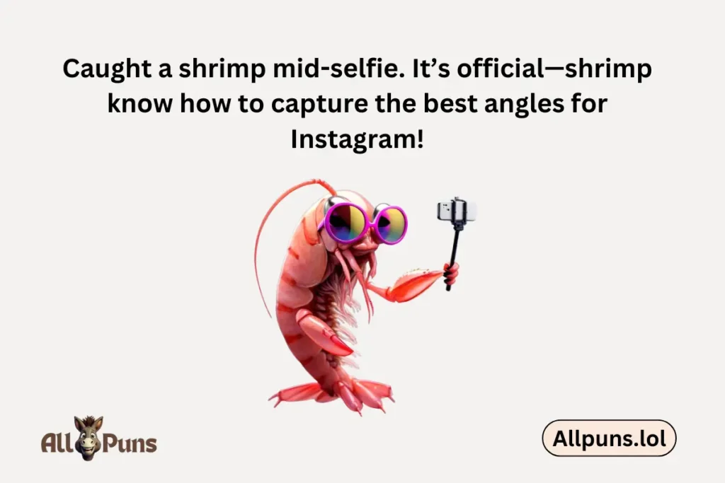 Shrimp Puns That Will Make You Smile shrimp puns instagram caption