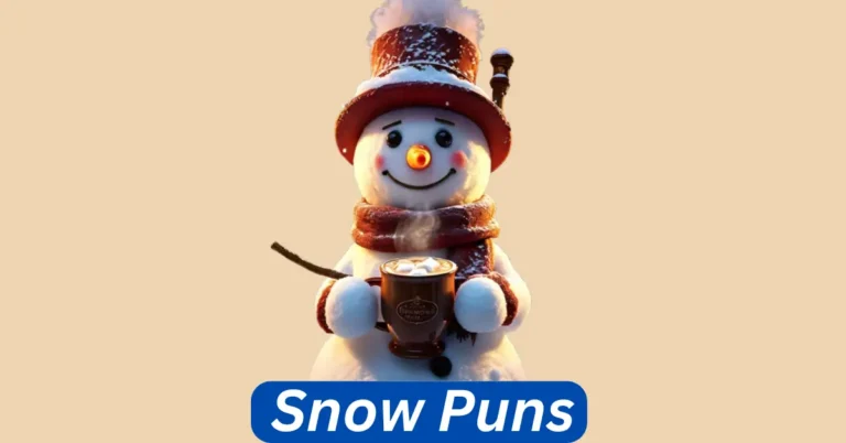 Snow Puns